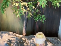 -阿嬷手作(深圳万象天地店)