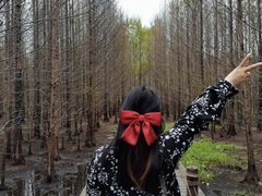 -桤木河湿地公园