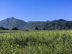 -扁都口生态休闲旅游区