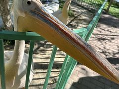 -水上乐园·欢乐世界