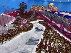 -广州热雪奇迹