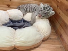 -常州淹城野生动物世界