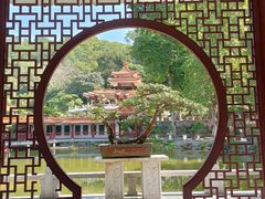 -深圳仙湖植物园