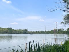 -昆山城市生态森林公园