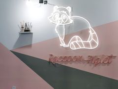 -浣熊柯尔鸭土拨鼠·电玩咖