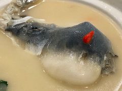 东坡河鱼-肆月河豚·新淮扬(金融街店)