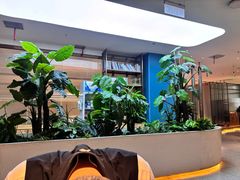 -悦海·家宴·冰花皮皮虾大锅贴(宝龙店)