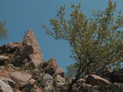 -鹫峰国家森林公园