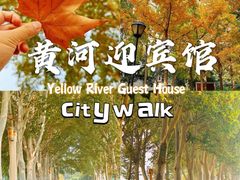 -河南省黄河迎宾馆