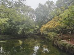 -秋霞圃