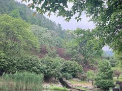 -桃花岭景区