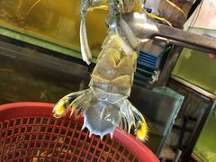 -ZF Seafood Restaurant 卓峰海鲜餐