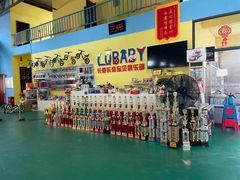 -长春乐奇平衡车儿童体能运动中心