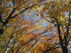 -丹东天桥沟景区