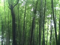 景点10-灵岩山风景区