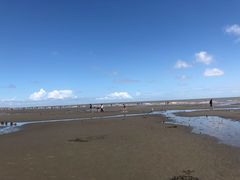 -奉贤海滩