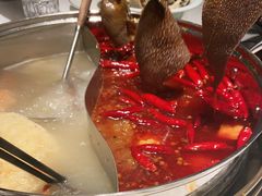 -领鲜天下·焗海鲜·花胶鸡(天目里店)