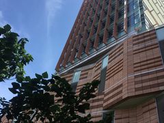 -香港大学