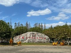 -上海海湾国家森林公园