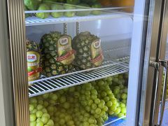 -雾与山茶(大禹城店)