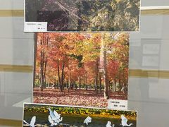 -青岛邮电博物馆