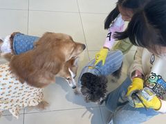 -怪兽屋·羊驼·猫咖·狗咖(俊华广场店)