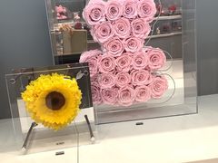 -ROSEONLY诺誓(广州K11店)