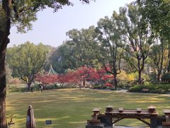 -申粤轩酒楼·三十年粤菜经典(丁香花园店)