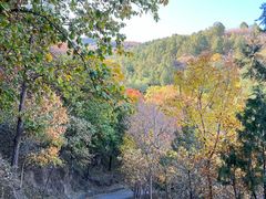 -鹫峰国家森林公园