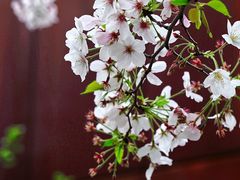 -龙美术馆(西岸馆)
