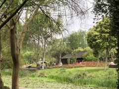 -西溪国家湿地公园