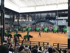 -东芭乐园
