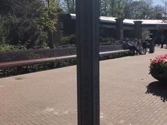 -和平宫