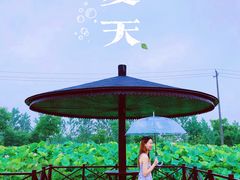 -梁鸿国家湿地公园