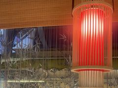 -蛙小侠(珠海华发商都店)