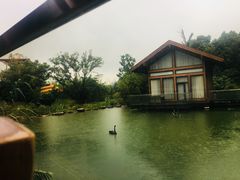 -杭州开元森泊度假乐园