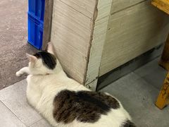 -威邵鸡煲(西华路总店)