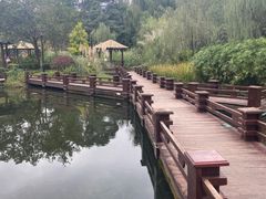 -成飞公园