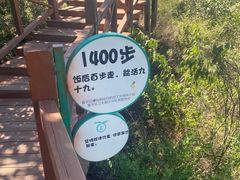 -大岭沟猕猴桃谷风景区
