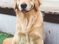 -汪说喵讲宠物乐园宠物酒店(红星美凯龙店)