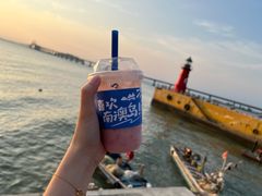 -南澳岛打卡果汁冰公司