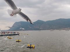 -海埂大坝
