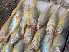 鼓油蒸天然黄鱼-兴仙饭店·闽味海鲜(马尾总店)