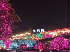 -枇杷园食为鲜火锅(南山店)