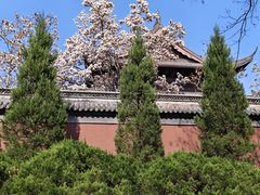 -钱王祠