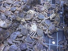 -聚盛源蒸汽海鲜火锅烤肉自助(巨川金海岸购物广场店)