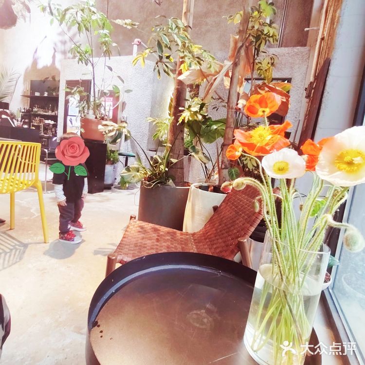 很有温度的一家小店，感觉进了植物馆了