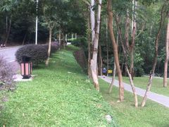 -火炉山森林公园