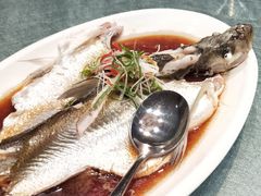 清蒸白水鱼-道道鲜·崇明私房菜(五角场店)