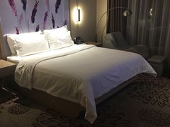 -麗枫酒店(成都理工大学地铁站店)